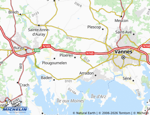 Mappa MICHELIN Ploeren - ViaMichelin