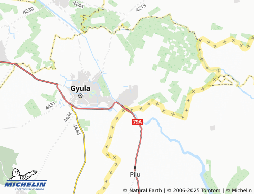 MICHELIN Gyulavári map - ViaMichelin