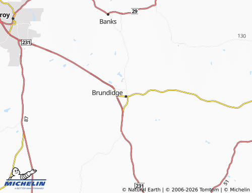 Mappa MICHELIN Brundidge - ViaMichelin