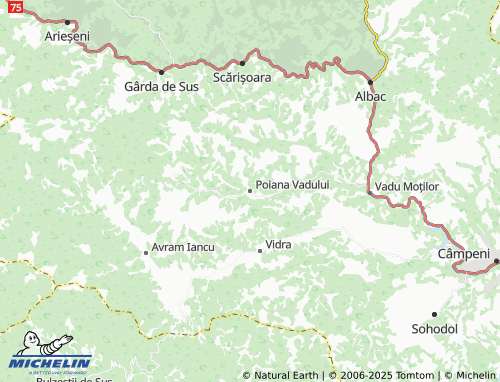 MICHELIN Poiana Vadului map - ViaMichelin