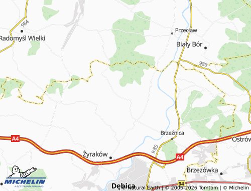 MICHELIN Nagoszyn map - ViaMichelin