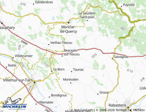 Mappa MICHELIN Montgaillard - ViaMichelin