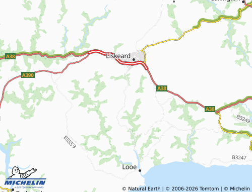 MICHELIN Saint Keyne map - ViaMichelin