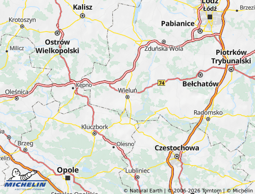 MICHELIN Wieluński map - ViaMichelin