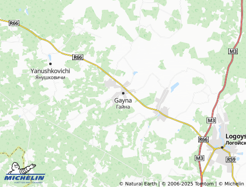 MICHELIN Gayna map - ViaMichelin