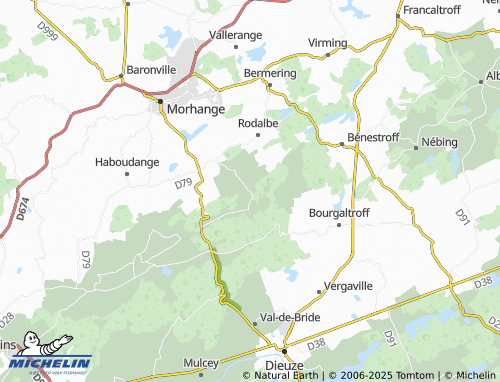 Carte MICHELIN Lidrezing - ViaMichelin