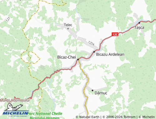Mapa MICHELIN Bicaz-Chei - ViaMichelin