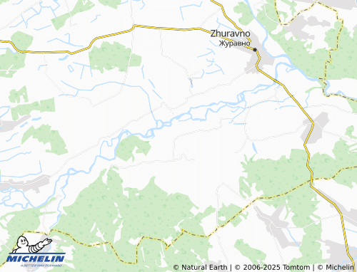 MICHELIN Zarichne map - ViaMichelin