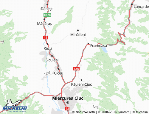 Mapa MICHELIN Bârzava - ViaMichelin