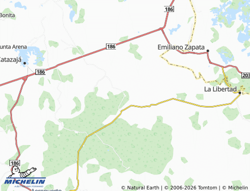 Mappa MICHELIN Francisco Ignacio Madero Norte - ViaMichelin