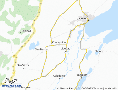 MICHELIN Concepcion map - ViaMichelin