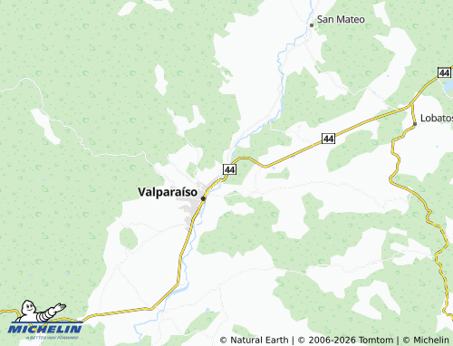 Mappa MICHELIN Francisco I Madero - ViaMichelin