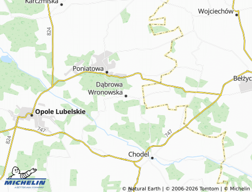 MICHELIN Dąbrowa Wronowska map - ViaMichelin