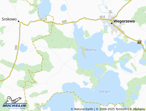 MICHELIN Pniewo map - ViaMichelin
