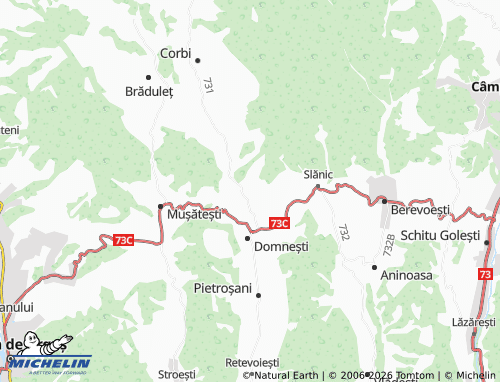 MICHELIN Stănești map - ViaMichelin