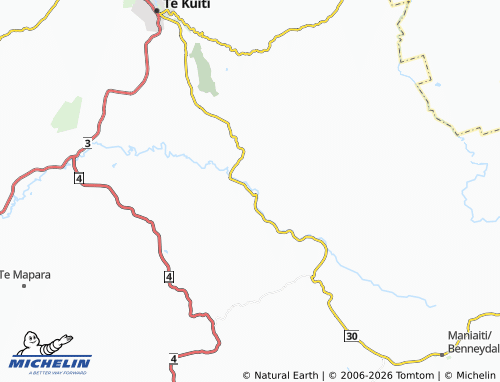 Mapa MICHELIN Puketutu - ViaMichelin