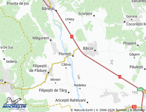 MICHELIN Florești map - ViaMichelin