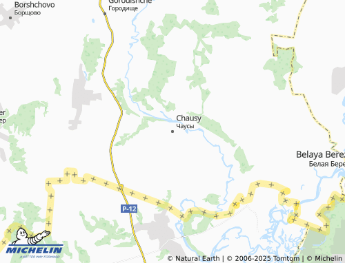MICHELIN Chausy map - ViaMichelin