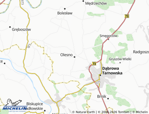MICHELIN Olesno map - ViaMichelin