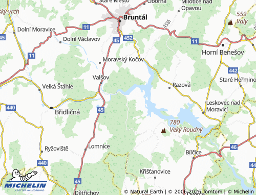 Mappa MICHELIN Nová Pláň - ViaMichelin