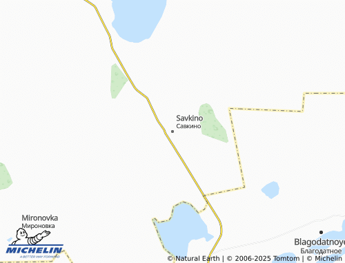 MICHELIN Savkino map - ViaMichelin