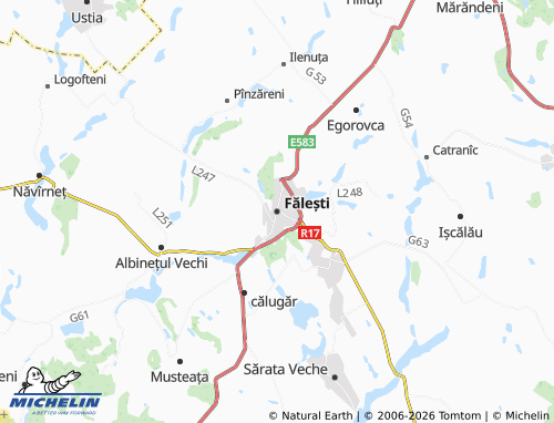 MICHELIN Falesti map - ViaMichelin