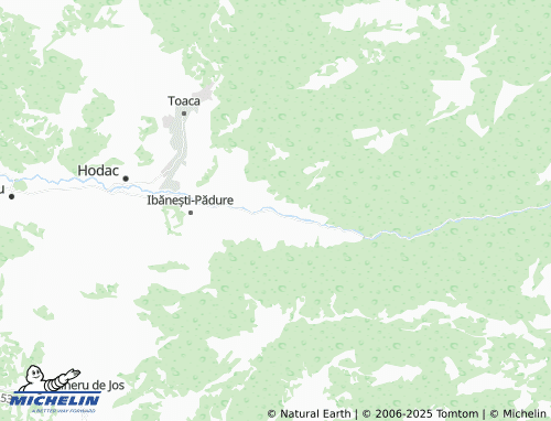 MICHELIN Blidireasa map - ViaMichelin