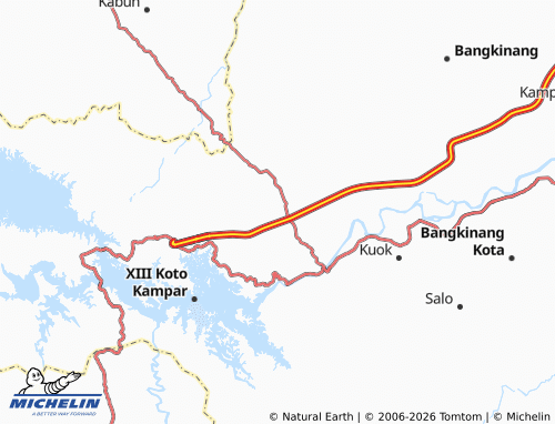 MICHELIN Silam map - ViaMichelin