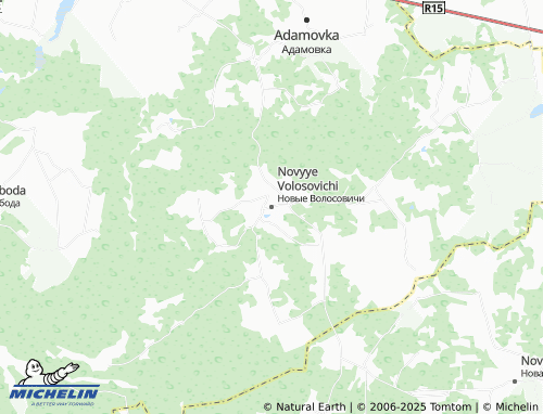 MICHELIN Novyye Volosovichi map - ViaMichelin