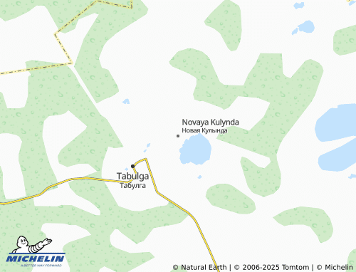 MICHELIN Novaya Kulynda map - ViaMichelin