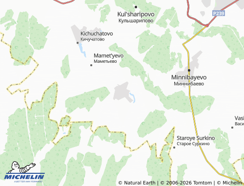 MICHELIN-Landkarte Chupayevo - ViaMichelin