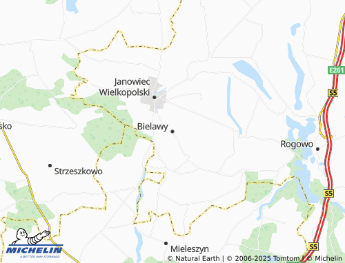 MICHELIN Bielawy map - ViaMichelin