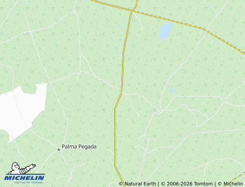 Mappa MICHELIN Colonia Zaragoza - ViaMichelin