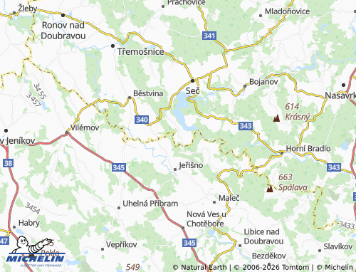 Mappa MICHELIN Hoješín - ViaMichelin