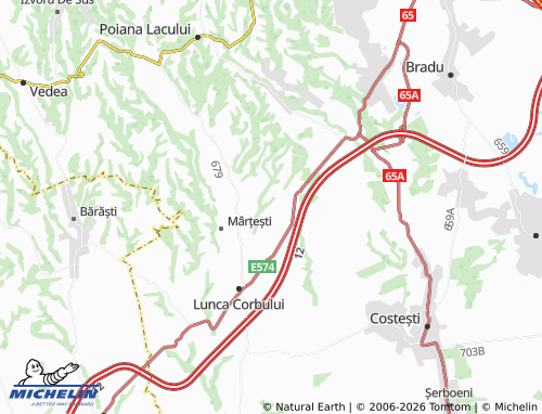 MICHELIN Silișteni map - ViaMichelin
