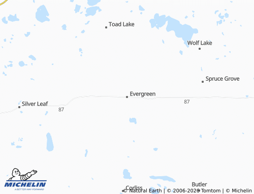 Mappa MICHELIN Evergreen - ViaMichelin