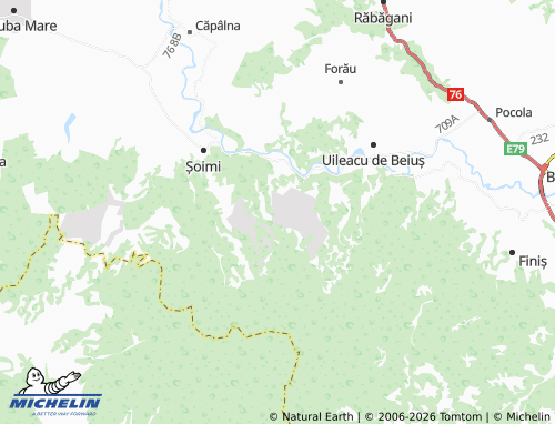 Mappa MICHELIN Dumbrăvița De Codru - ViaMichelin