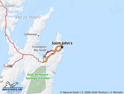 MICHELIN Newfoundland and Labrador map - ViaMichelin