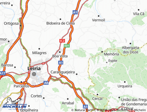 MICHELIN Leão map - ViaMichelin