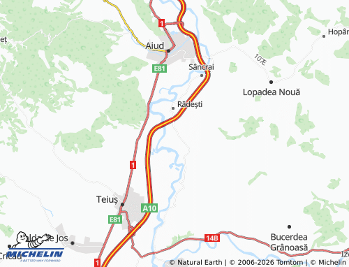 Mapa MICHELIN Leorinț - ViaMichelin