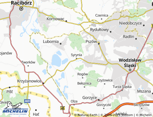 MICHELIN Syrynia map - ViaMichelin