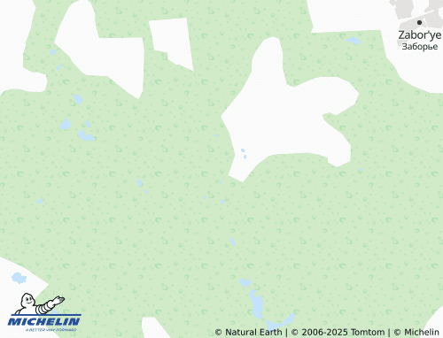 MICHELIN Vas'kovo map - ViaMichelin