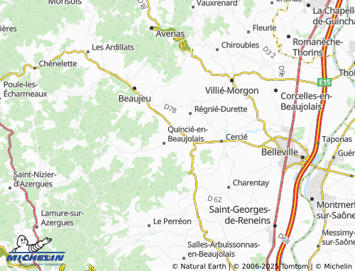 Mappa MICHELIN Saint-Nizier - ViaMichelin
