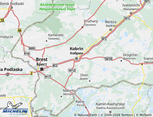 MICHELIN Kobrinskiy rayon map - ViaMichelin