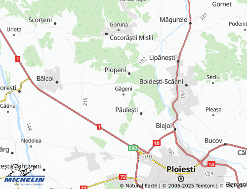 Mappa MICHELIN Găgeni - ViaMichelin