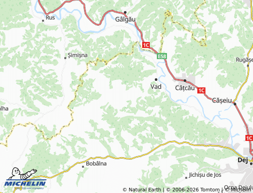 Carte MICHELIN Bogata De Jos - ViaMichelin