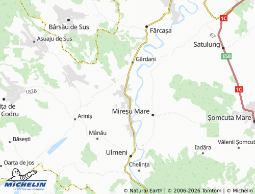 Mappa MICHELIN Sălsig - ViaMichelin
