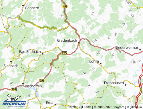 Carte MICHELIN Erdhausen - ViaMichelin