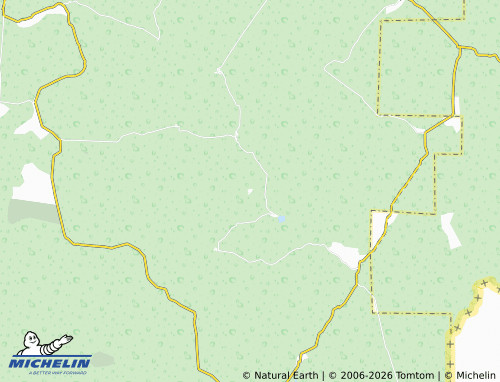 Mapa MICHELIN Bella Unión de Veracruz - ViaMichelin