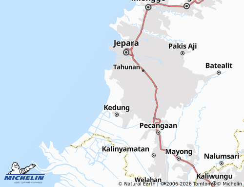 Mapa MICHELIN Rau - ViaMichelin